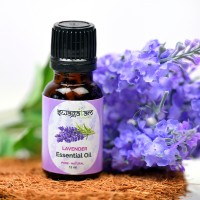 Lavender Essential Oil