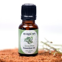 Eucalyptus Essential Oil